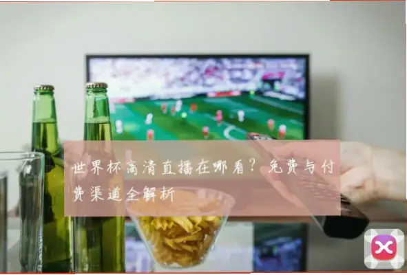 世界杯直播在哪看？免费与付费渠道全解析